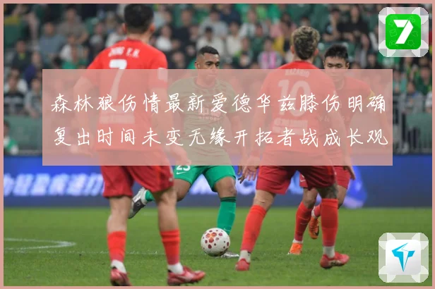 森林狼伤情最新爱德华兹膝伤明确复出时间未变无缘开拓者战成长观察：最新赛事动态与深度分析